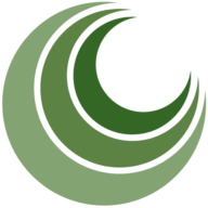 Logo Institute of Islamic Banking & Insurance