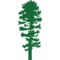 Logo Longleaf Hospital
