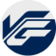 Logo Vietnam Germany Steel JSC