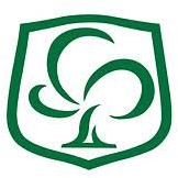Logo Creative Secondary School