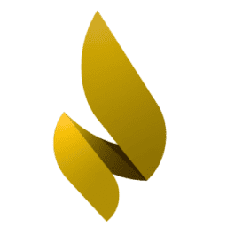 Logo National Association of Anorexia Nervosa & Associated