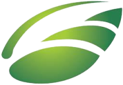 Logo Flame Tree Group Holdings Ltd.