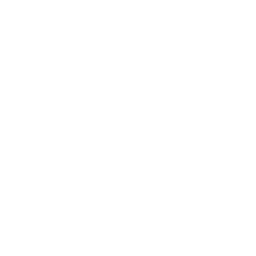 Logo D&G Technology Holding Co. Ltd.