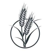Logo Southeastern Illinois Community Foundation
