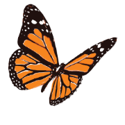 Logo Algernon Pharmaceuticals, Inc.