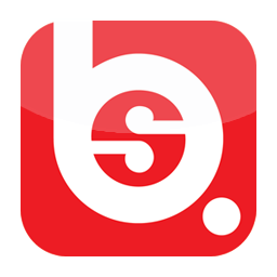 Logo QBS System Ltd.