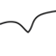 Logo White Hawk Group LLC