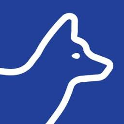 Logo BlueFox, Inc.