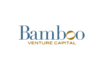 Logo Internacional Firm Bamboo Venture Capital SL