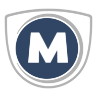 Logo Industria Italiana Autobus SpA