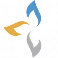 Logo Synergy Srl