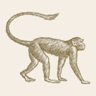 Logo Mowgli Street Food Ltd.