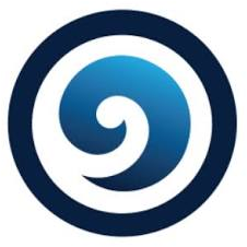 Logo INSAN, Inc.