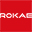 Logo Rokae (Beijing) Technology Co. Ltd.