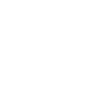 Logo Saxonia Network Systems (SNS) GmbH