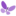 Logo Lupus UK