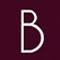 Logo Bravo Property Fund REIT