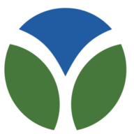 Logo Rays Power Infra Ltd.