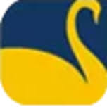 Logo New Swan Multitech Ltd.
