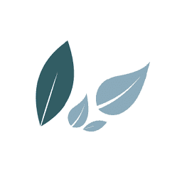 Logo Solehawk Ltd.