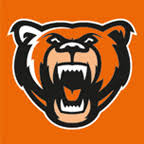 Logo Grizzlys Wolfsburg GmbH