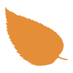 Logo Boningale Ltd.