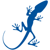 Logo Blue Lizard Consulting Ltd.