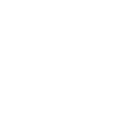 Logo Thielen Foundation