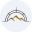 Logo Barranco Gold Mining Corp.