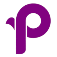 Logo PlatinumOne Business Services Ltd.