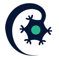 Logo Libra Therapeutics, Inc.