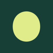 Logo RiskAlliance Ltd.