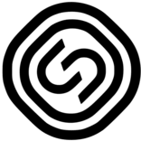 Logo Segezha Group PJSC