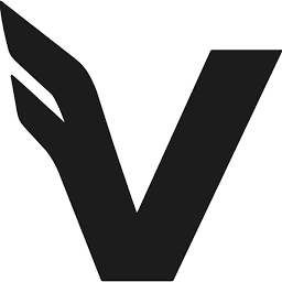Logo Valkyrie Investments, Inc.
