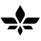 Logo Lilium NV