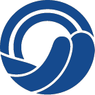 Logo Saleflo Pvt Ltd.