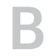 Logo Bridgeton Holdings LLC