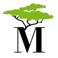 Logo MTI Investment SE