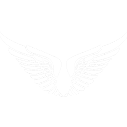 Logo Ghana Airports Co. Ltd.
