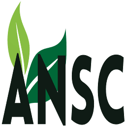 Logo Decarbonization Plus Acquisition Corp. V