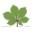 Logo Chestnut Advisory Group LLC