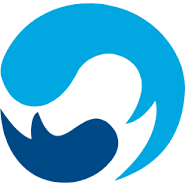 Logo NPC Srl