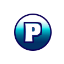 Logo Palmetto Boat Sales
