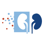 Logo Kidney Associates of Kansas City PC