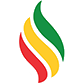 Logo Petro Times JSC