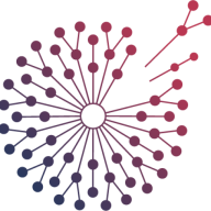 Logo Petrus Technologies Pvt Ltd.
