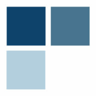 Logo The Religious Freedom Institute Inc