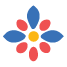 Logo CAPI USA