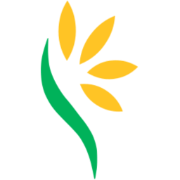 Logo Lynch Group Holdings Ltd.