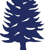 Logo Arve Asset Management AG